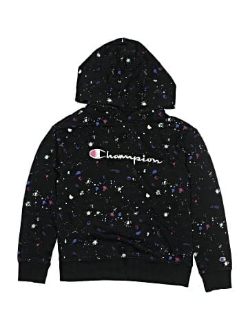 Champion Pullover Hoodie (view 1)