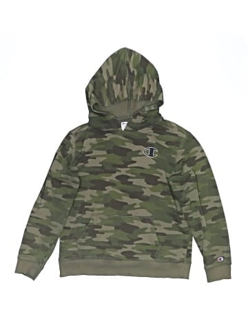 Champion Pullover Hoodie (view 1)