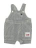 Carter's Gray Overall Shorts 3-6 MO / 6 MO - photo 1