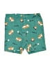 L.L.Bean 100% Cotton Print Teal Shorts Size 5 - 6 - photo 1