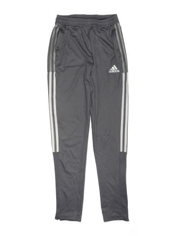 Adidas Track Pants (view 1)