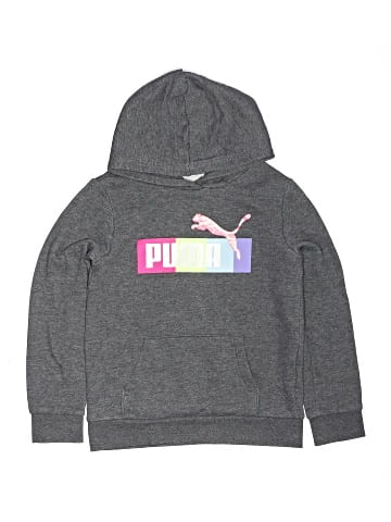 Puma Pullover Hoodie (view 1)