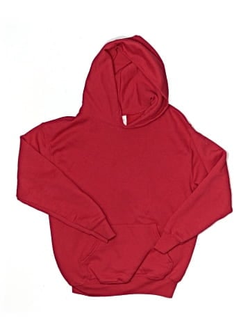 Hanes Pullover Hoodie (view 1)