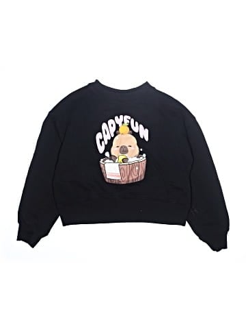 Zara Sweatshirt (view 2)