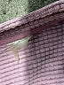 2XU Purple Pullover Sweater Size M - photo 7
