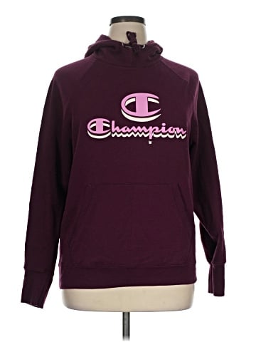 Champion Pullover Hoodie (view 1)