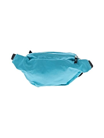 Jansport Belt Bag (view 2)