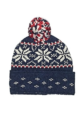 American Eagle Outfitters Beanie (view 1)
