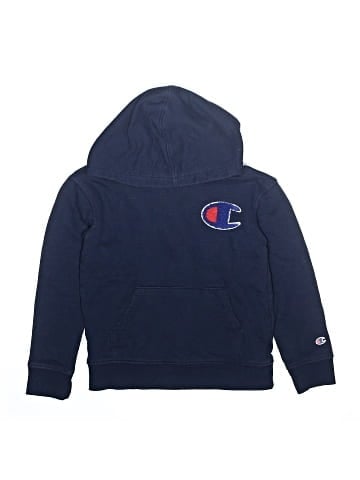 Champion Pullover Hoodie (view 1)