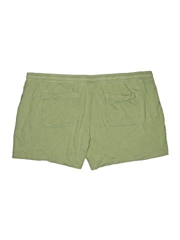 Terra & Sky Khaki Shorts (view 2)