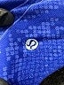 Lululemon Athletica Blue Active Pants Size 2 - photo 7