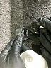 Wilfred 100% Polyester Solid Black Dress Pants Size 8 - photo 8