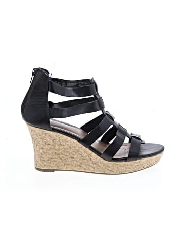 Brash Wedges (view 1)