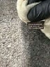 J. McLaughlin 100% Cashmere Animal Print Tan Cashmere Pullover Sweater Size 1X - photo 8