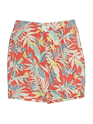 O'Neill Board Shorts (view 1)