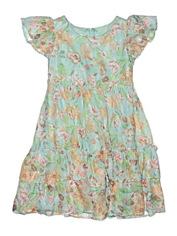 Iris & Ivy Dress (view 1)