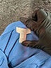H&M Blue Cardigan Size L - photo 7
