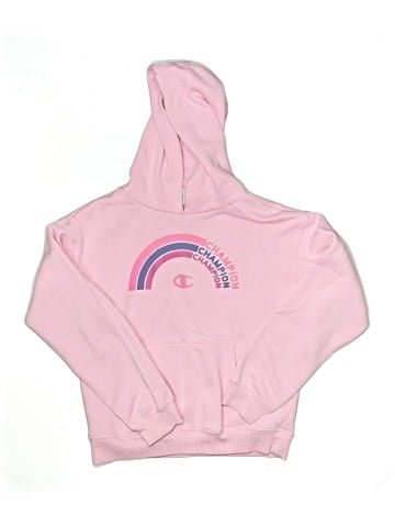 Champion Pullover Hoodie (view 1)