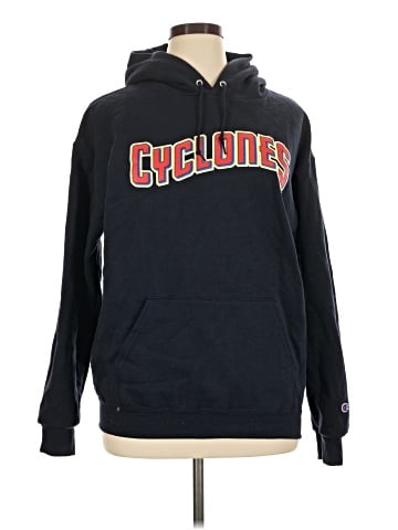 Champion Pullover Hoodie (view 1)
