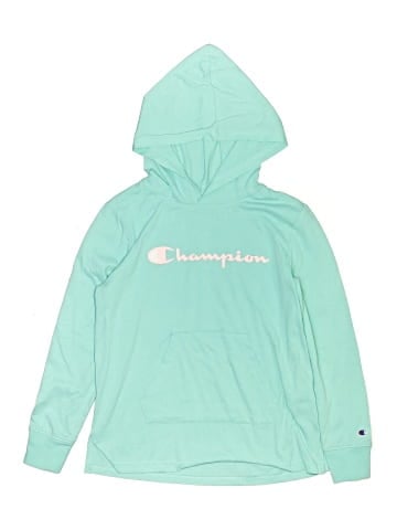 Champion Pullover Hoodie (view 1)