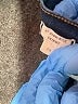 Madewell Solid Blue Jeans Size 28 waist - photo 8