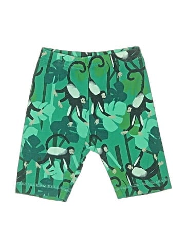 Tea Board Shorts (view 1)