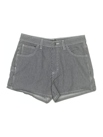 Dickies Shorts (view 1)