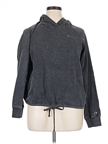 Champion Sweatshirt (view 1)