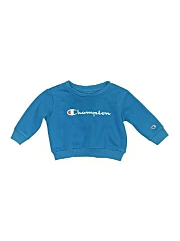 Champion Sweatshirt (view 1)
