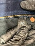 SPANX Solid Blue Jeans Size 30 waist - photo 5