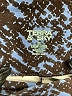 Terra & Sky Animal Print Blue Active Pants Size 1X - photo 4