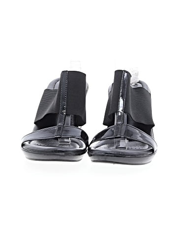 Dexflex Wedges (view 2)