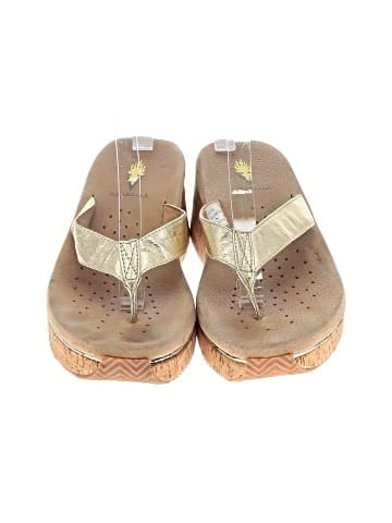 Volatile Wedges (view 2)