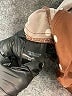 Torrid Polka Dots Brown Casual Skirt Size 5X Plus (5) - photo 5