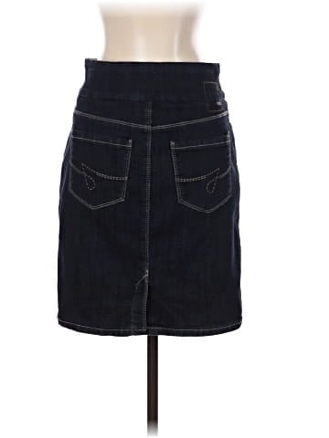 Jag Denim Skirt (view 2)