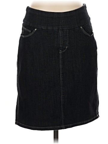 Jag Denim Skirt (view 1)