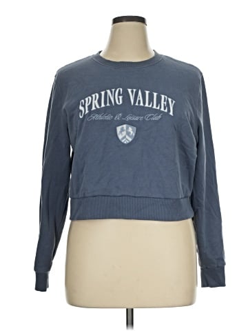 Hollister Sweatshirt (view 1)