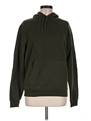 Puma Pullover Hoodie (view 1)