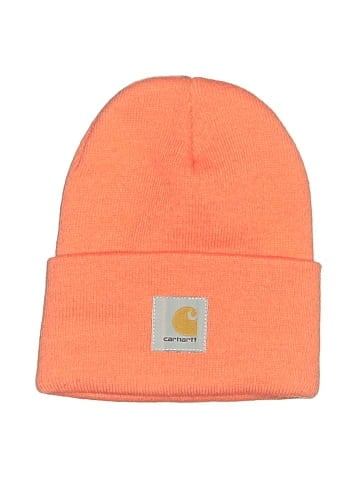 Carhartt Beanie (view 1)