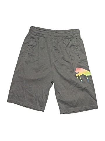 Puma Athletic Shorts (view 1)