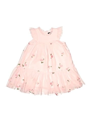 Zunie Dress (view 1)
