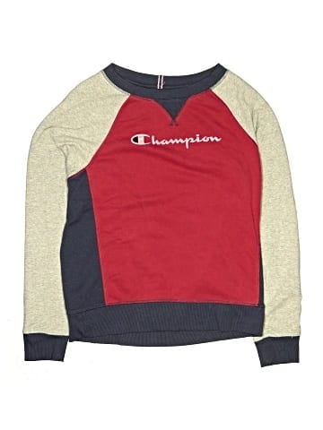 Champion Sweatshirt (view 1)