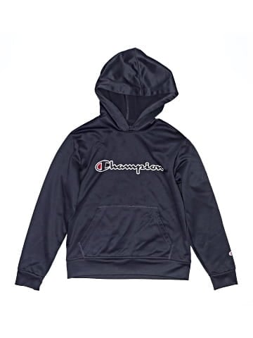 Champion Pullover Hoodie (view 1)