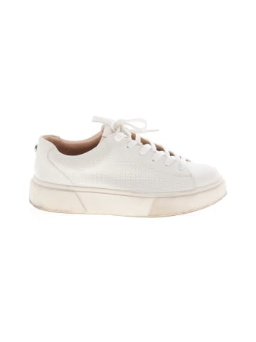 Steve Madden Sneakers (view 1)