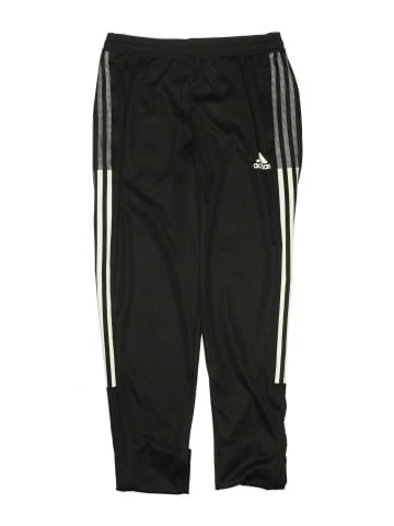 Adidas Track Pants (view 1)