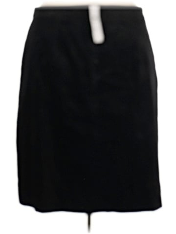 Ann Taylor Formal Skirt (view 2)