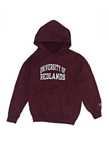 Champion Pullover Hoodie (view 1)
