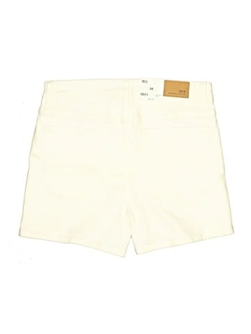 BKE Shorts (view 2)