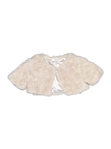 H&M Faux Fur Vest (view 1)