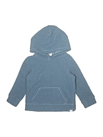 Baby Gap Pullover Hoodie (view 1)